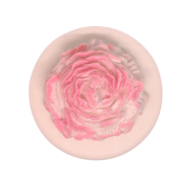 Roze roos op plat plateau